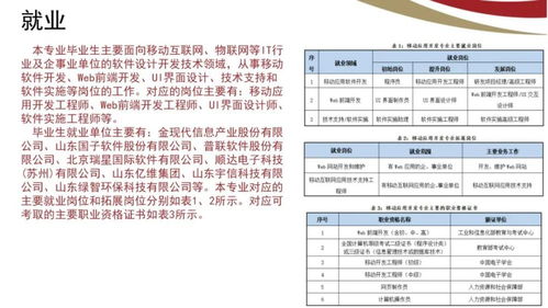 山東電子職業(yè)技術(shù)學(xué)院計(jì)算機(jī)與軟件工程系 計(jì)算機(jī)軟件技術(shù)服務(wù)專業(yè)簡介